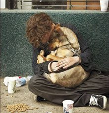 dog-homeless