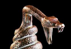copperheads