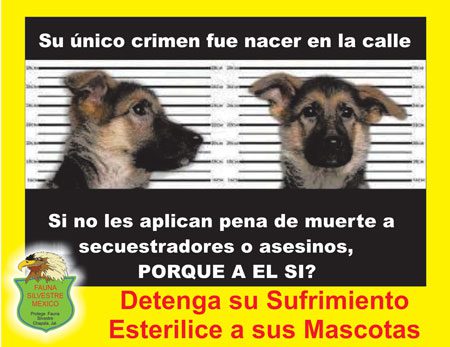 cartel-perro-prision