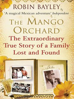 the-mango-orchard