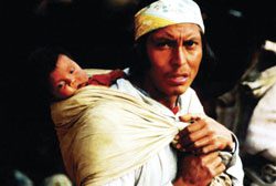 Tarahumara2014