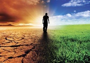 climate change solution