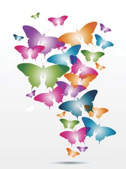 butterflies flying