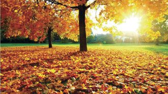 autumn