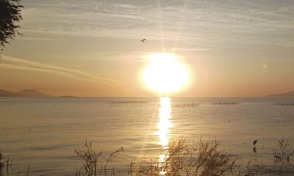 Editor’s Page – April 2026