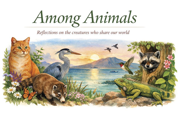 Among Animals